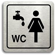 Accept Pictogram "washroom, women's toilet" (80 × 80 mm) (silver plate - black print) - Sign