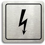 Accept Pictogram "electrical equipment" (80 × 80 mm) (silver plate - black print) - Sign