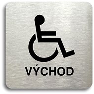 Accept Pictogram "exit for disabled persons" (80 × 80 mm) (silver plate - black print without frame) - Sign