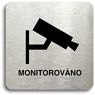 Accept Pictogram Monitored (80 × 80mm) (Silver Plate - Black Print without Frame) - Sign