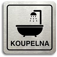 Accept Pictogram "Bathroom II" (80 × 80mm) (Silver Plate - Black Print) - Sign