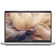 Dell Pro 14 Plus (PB14250) Silver - Laptop