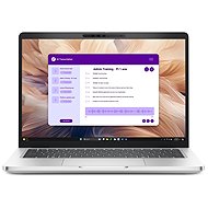 Dell Pro Plus 13 PB13250 (without adapter) - Laptop