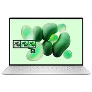 Dell XPS 13 9345 - Laptop