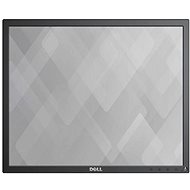 19 "Dell P1917S - Monitor