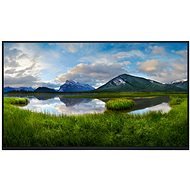 24" Dell P2425HE Professional – Bez stojana - LCD monitor