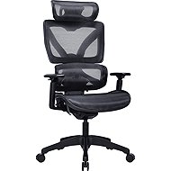 AlzaErgo Chair Delta 1 black - Office Chair
