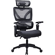 AlzaErgo Chair Delta 1 Plus black - Office Chair