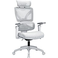AlzaErgo Chair Delta 1 Plus grey - Office Chair