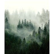 FT3P 7261 - Fototapeta