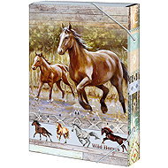 ARGUS A4-Heftbox „Wild horses“ - Einbände für Hefte