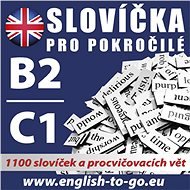 Angličtina – Slovíčka pro pokročilé B2/C1 - Různí autoři