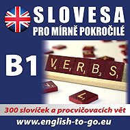 Angličtina – Slovesa pro mírně pokročilé - kolektiv autorů