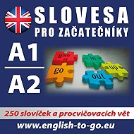 Angličtina – Slovesa pro začátečníky - kolektiv autorů