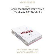 HOW TO EFFECTIVELY TAME COMPANY RECEIVABLES - Vladimír John