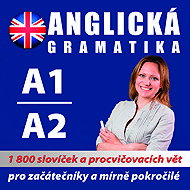 Anglická gramatika 1 - koletiv autorů  Multiple authors