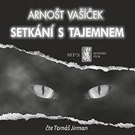 Encounters with mystery - Arnošt Vašíček