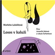 Kapitola 41 - 