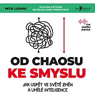 From chaos to meaning - Petr Ludwig