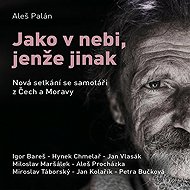 Jako v nebi, jenže jinak - Aleš Palán