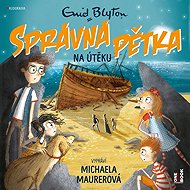 THE RIGHT FIVE on the run - Enid Blytonová