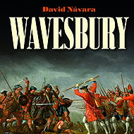 Wavesbury - David Návara