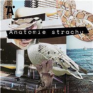Anatomie strachu - Brit Jensen  Jiří Slavičínský