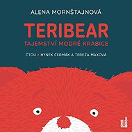 TERIBEAR - The Mystery of the Blue Box - Alena Mornštajnová