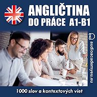 English for work A1-B1 - audioacaemyeu