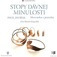 Stopy dávnej minulosti - Slovensko v praveku - Pavel Dvořák