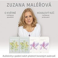 About Flower & Violin Key - Zuzana Maléřová