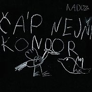 A stork is not a condor - Radůza