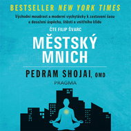Městský mnich... - Pedram Shojai