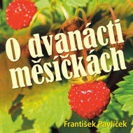Frantisek Pavlicek: About Twelve Months - Božena Němcová