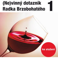 Radek Brzobohatý's (in)guilty questionnaire 1. - Radoslav Brzobohatý