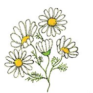 Marie Kubátová: About the Chamomile Fairy - Marie Kubátová