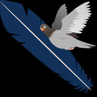 Pigeon feather - Alena Riegerová