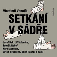 Vlastimil Venclík: Meeting in plaster - Vlastimil Venclík