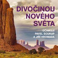 Through the Wilderness of the New World - Jiří Hromada  Jiří Hromádko  Pavel Soukup