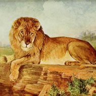 Dagmar Lang: About the Wise King - Dagmar Langová  Lucie Juřičková