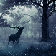 Karel Šiktanc: The Blackest Forest - Karel Šiktanc