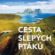 The way of blind birds - Ludvík Souček