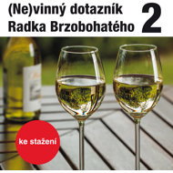 Radek Brzobohatý's (in)guilty questionnaire 2. - Radoslav Brzobohatý