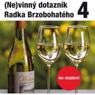 Radek Brzobohatý's (in)guilty questionnaire 4. - Radoslav Brzobohatý