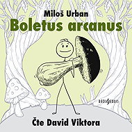 Boletus arcanus - Miloš Urban  David Viktora