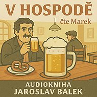 In the pub - Jaroslav Bálek