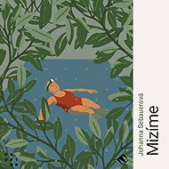 Disappearing - Johanna Sebauerová