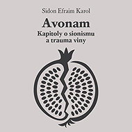 Avonam: Chapters on Zionism and the Trauma of Guilt - Efraim K. Sidon