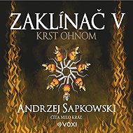 The Witcher V Baptism by Fire - Andrzej Sapkowski