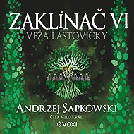 The Witcher VI Tower of the Swallow - Andrzej Sapkowski